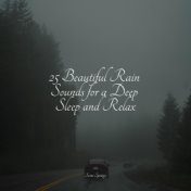 25 Beautiful Rain Sounds for a Deep Sleep and Relax