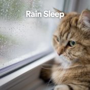 Rain Sleep
