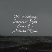 25 Soothing Summer Rain Sounds - Natural Rain