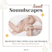 Soul Soundscapes, V09 - Reconnect Soul With Calm And Tranquil Music For Spa And Relaxation