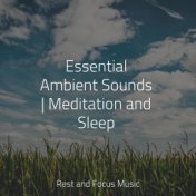 Essential Ambient Sounds | Meditation and Sleep