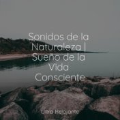 Sonidos de la Naturaleza | Sueño de la Vida Consciente
