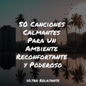 50 Canciones Calmantes Para Un Ambiente Reconfortante y Poderoso