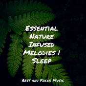 Essential Nature Infused Melodies | Sleep