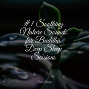 #1 Soothing Nature Sounds for Buddha Deep Sleep Sessions