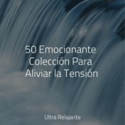50 Emocionante Colección Para Aliviar la Tensión
