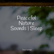 Peaceful Nature Sounds | Sleep