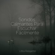 Sonidos Calmantes Para Escuchar Fácilmente