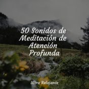 50 Sonidos de Meditación de Atención Profunda