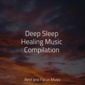 Deep Sleep Healing Music Compilation