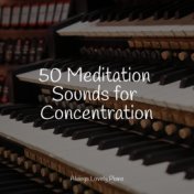 50 Meditation Sounds for Concentration