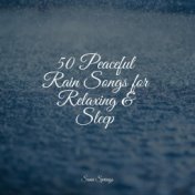 50 Peaceful Rain Songs for Relaxing & Sleep