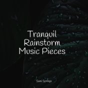Tranquil Rainstorm Music Pieces