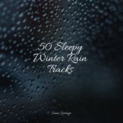 50 Sleepy Winter Rain Tracks