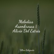 Melodías Asombrosas | Alivio Del Estrés