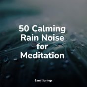 50 Calming Rain Noise for Meditation