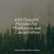 #50 Peaceful Melodies for Mindfulness and Concentration