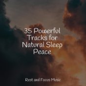 35 Powerful Tracks for Natural Sleep Peace