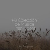 50 Colección de Música Inspiradora