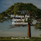 30 Songs for Serenity & Relaxation