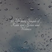 50 Loopable Rain Sounds for Sleep and Serenity