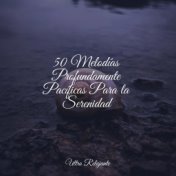 50 Melodías Profundamente Pacíficas Para la Serenidad