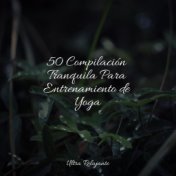 50 Compilación Tranquila Para Entrenamiento de Yoga