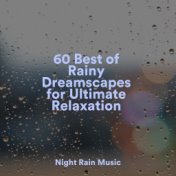 60 Rejuvenating Rain Sounds for Meditation and Sleep