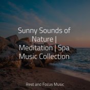 Sunny Sounds of Nature | Meditation | Spa Music Collection