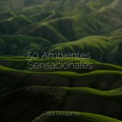 50 Ambientes Sensacionales