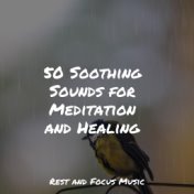 50 Soothing Sounds for Meditation and Healing