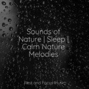 Sounds of Nature | Sleep | Calm Nature Melodies