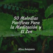 50 Melodías Pacíficas Para la Meditación y El Zen