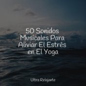 50 Sonidos Espirituales Para Dormir