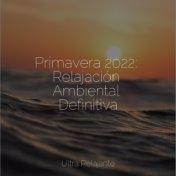 Primavera 2022: Relajación Ambiental Definitiva