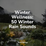 Winter Wellness: 50 Winter Rain Sounds