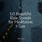 50 Beautiful Rain Sounds for Meditation & Spa