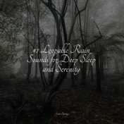 #1 Loopable Rain Sounds for Deep Sleep and Serenity