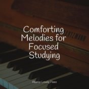 Comforting Melodies for Focused Studying