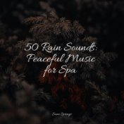 50 Rain Sounds: Peaceful Music for Spa