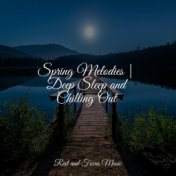 Spring Melodies | Deep Sleep and Chilling Out