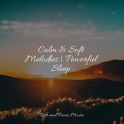 Calm & Soft Melodies | Powerful Sleep