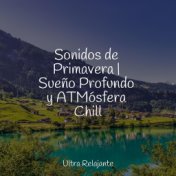 Sonidos de Primavera | Sueño Profundo y ATMósfera Chill