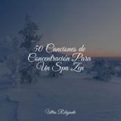 50 Canciones de Concentración Para Un Spa Zen