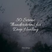 50 Serene Thunderstorms for Deep Healing