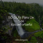 50 GUía Para Un Spa Reconfortante