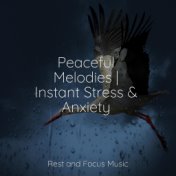 Peaceful Melodies | Instant Stress & Anxiety