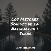 Los Mejores Sonidos de la Naturaleza | Sueño