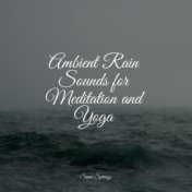 Ambient Rain Sounds for Meditation and Yoga