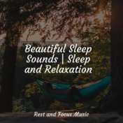 Beautiful Sleep Sounds | Sleep and Relaxation